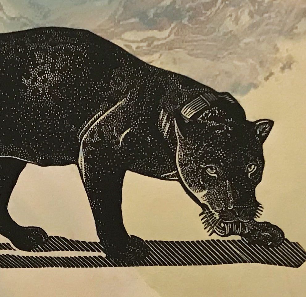 JAGUAR
